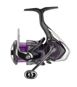 Daiwa 22 Prorex V LT Spinmolen 4000-C