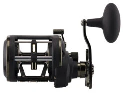 PENN Squall II Level Wind 20LWLH