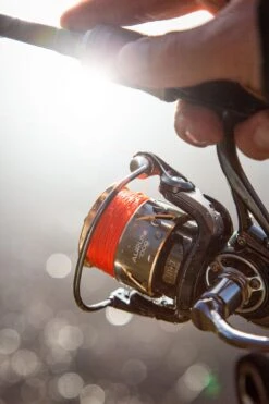 Ultimate Aurum 1000 -Fish Tackle cce34b6907ad4dca