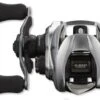 Daiwa Zillion SV TW 1000PL Reel